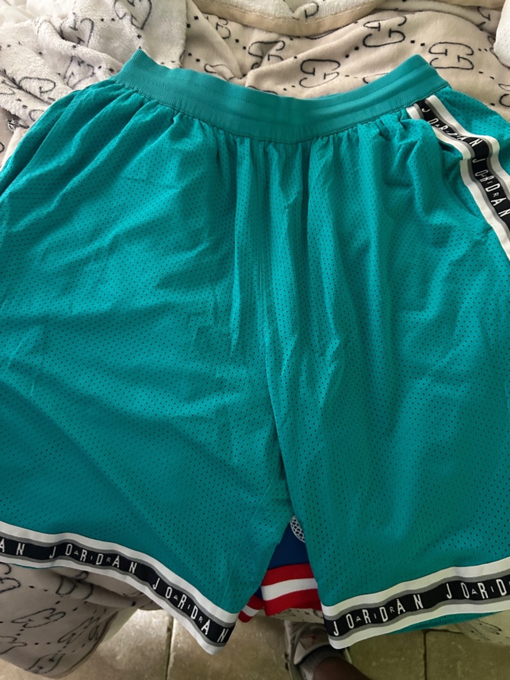 Jordan Men's Teal Athletic Mesh Shorts with Branded Trim